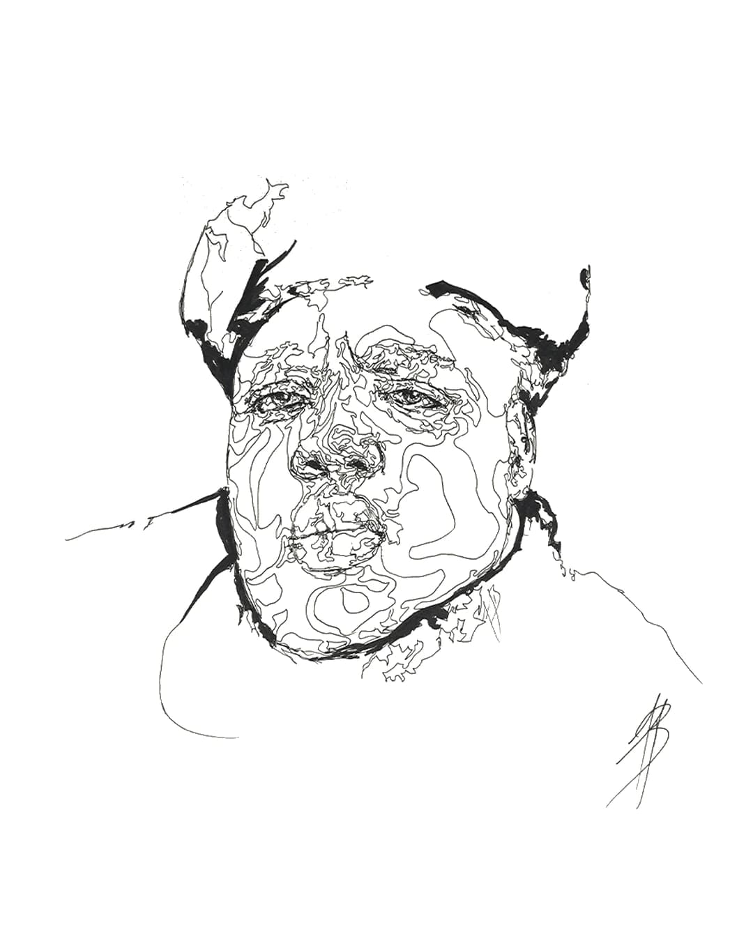 Facial Topography No. 22, by Augustus Rivers