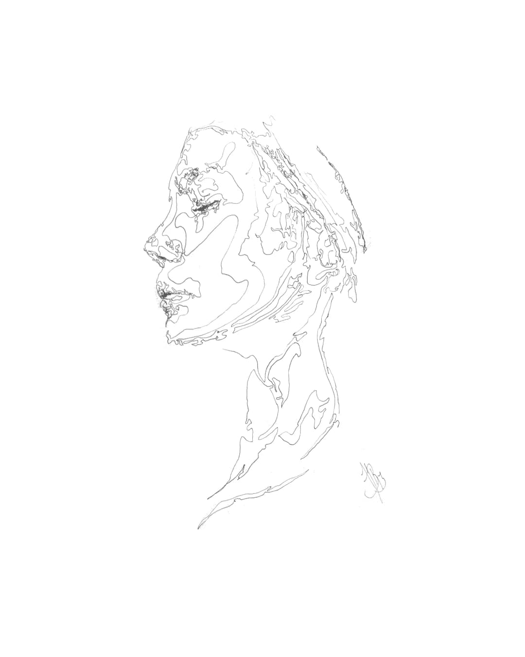 Facial Topography No. 17, by Augustus Rivers
