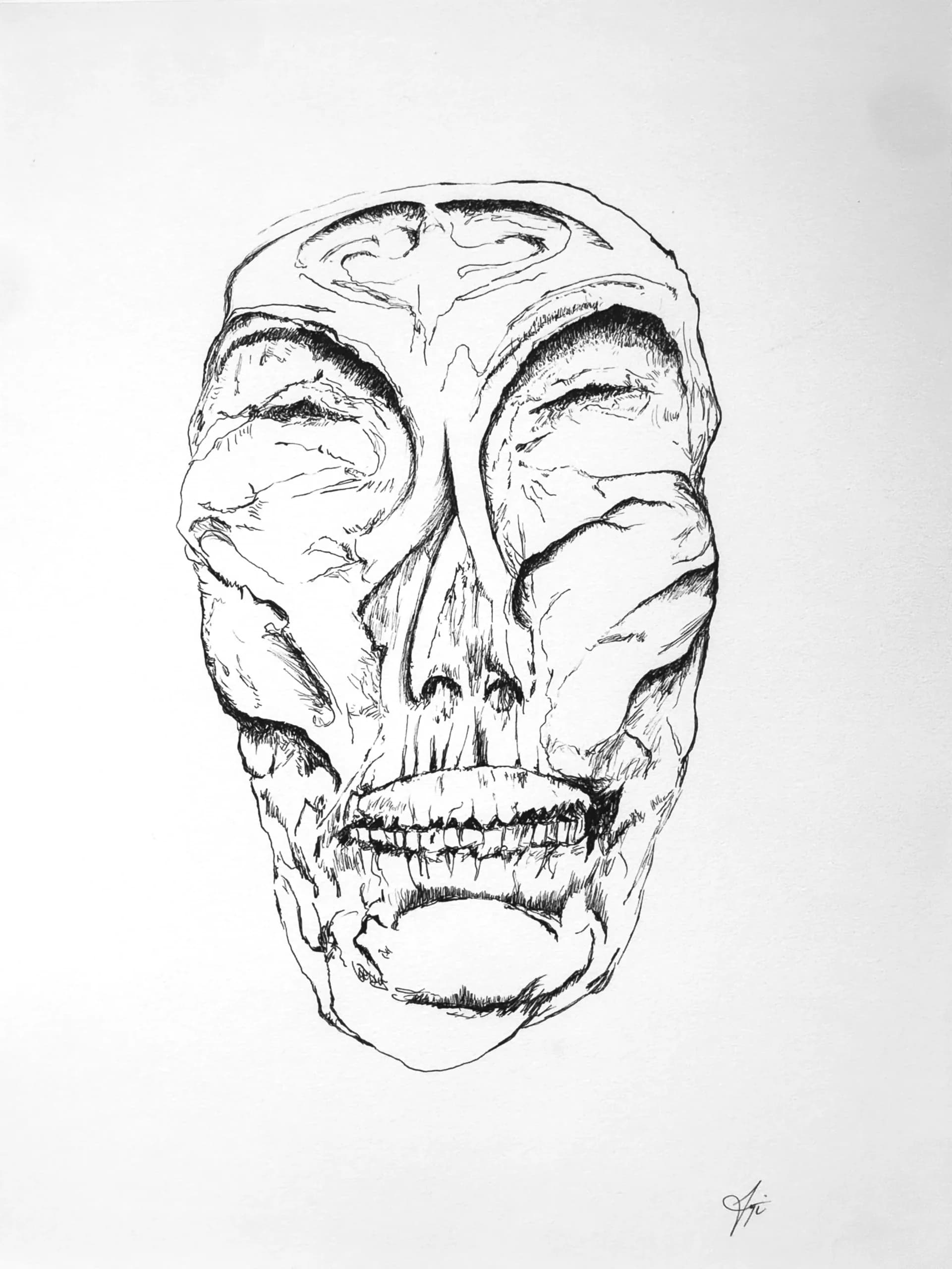 Untitled Skull 01, by Augustus Rivers