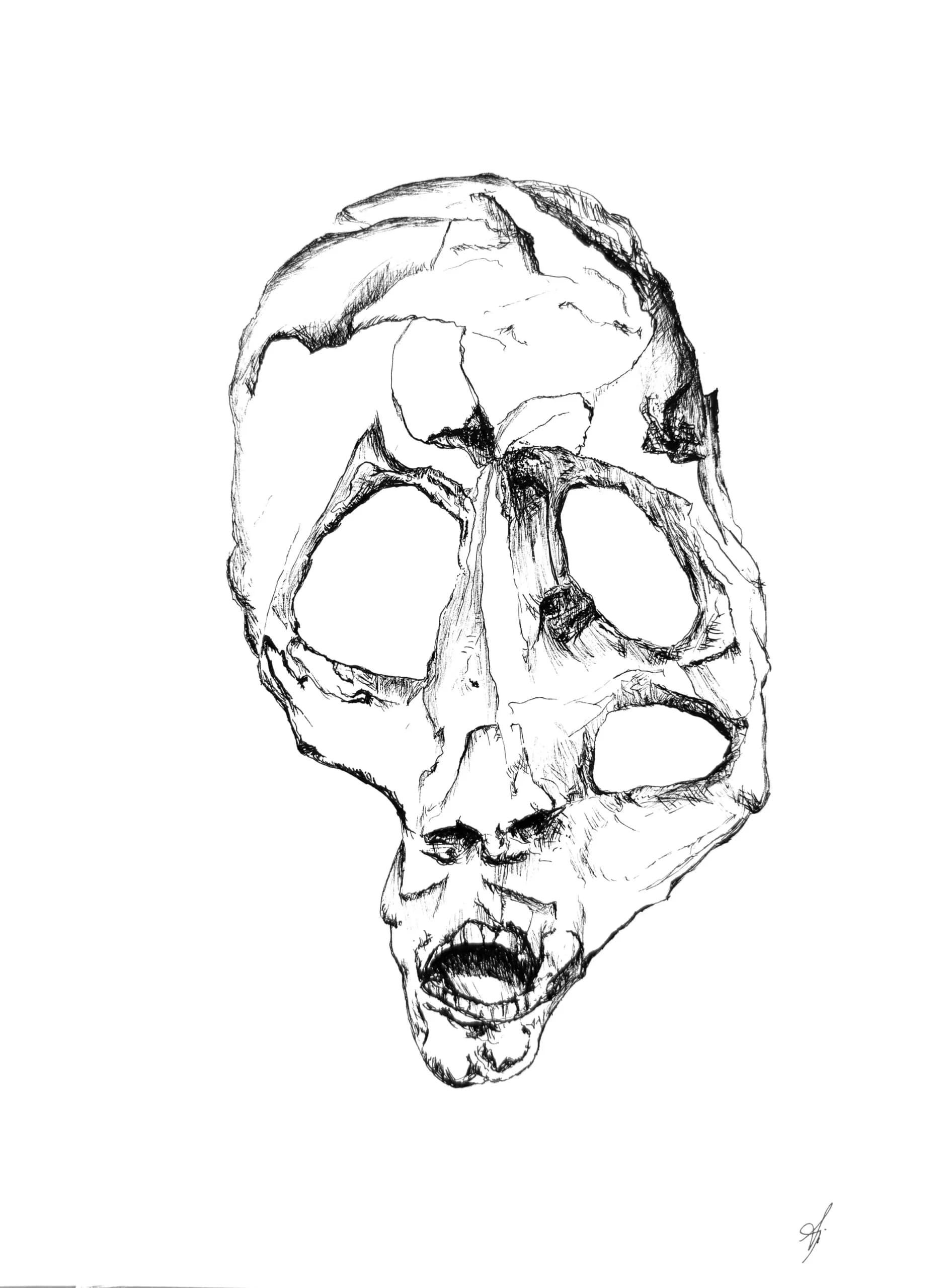 Untitled Skull 02, by Augustus Rivers