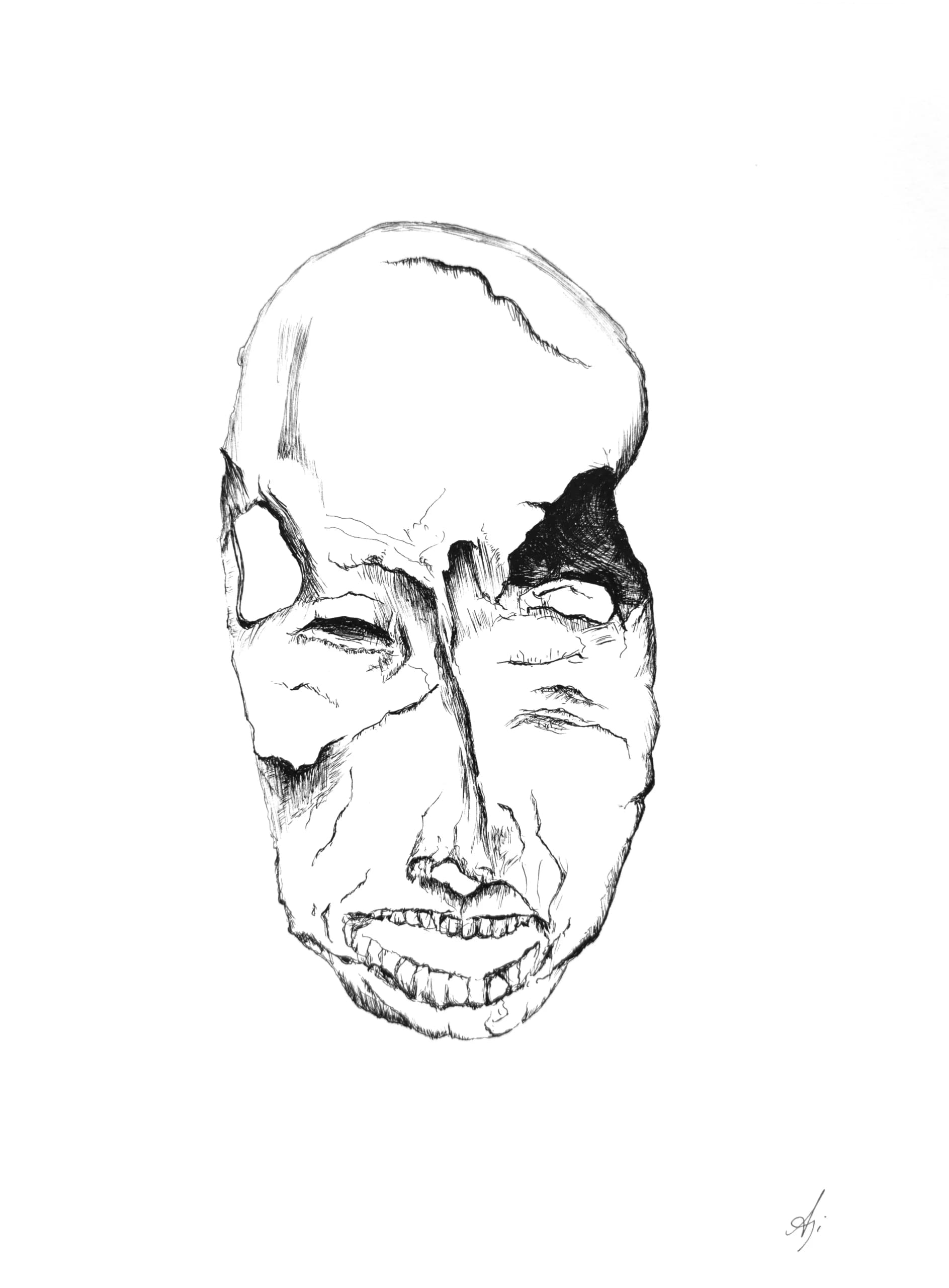Untitled Skull 03, by Augustus Rivers