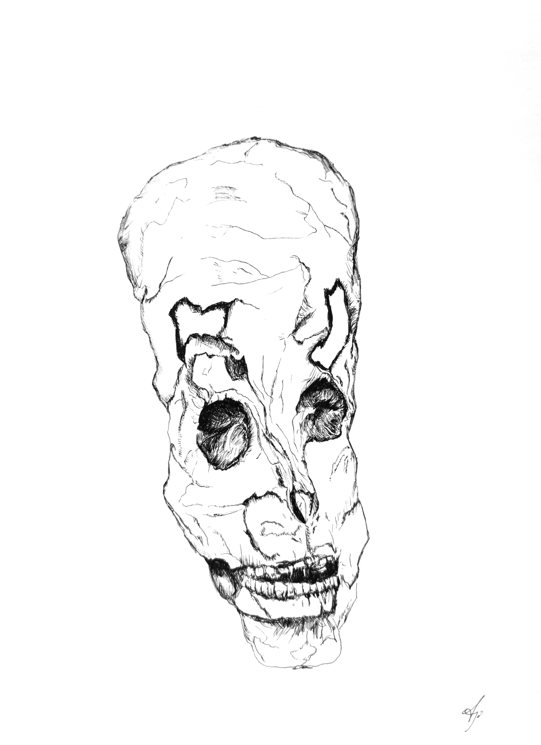 Untitled Skull 04, by Augustus Rivers