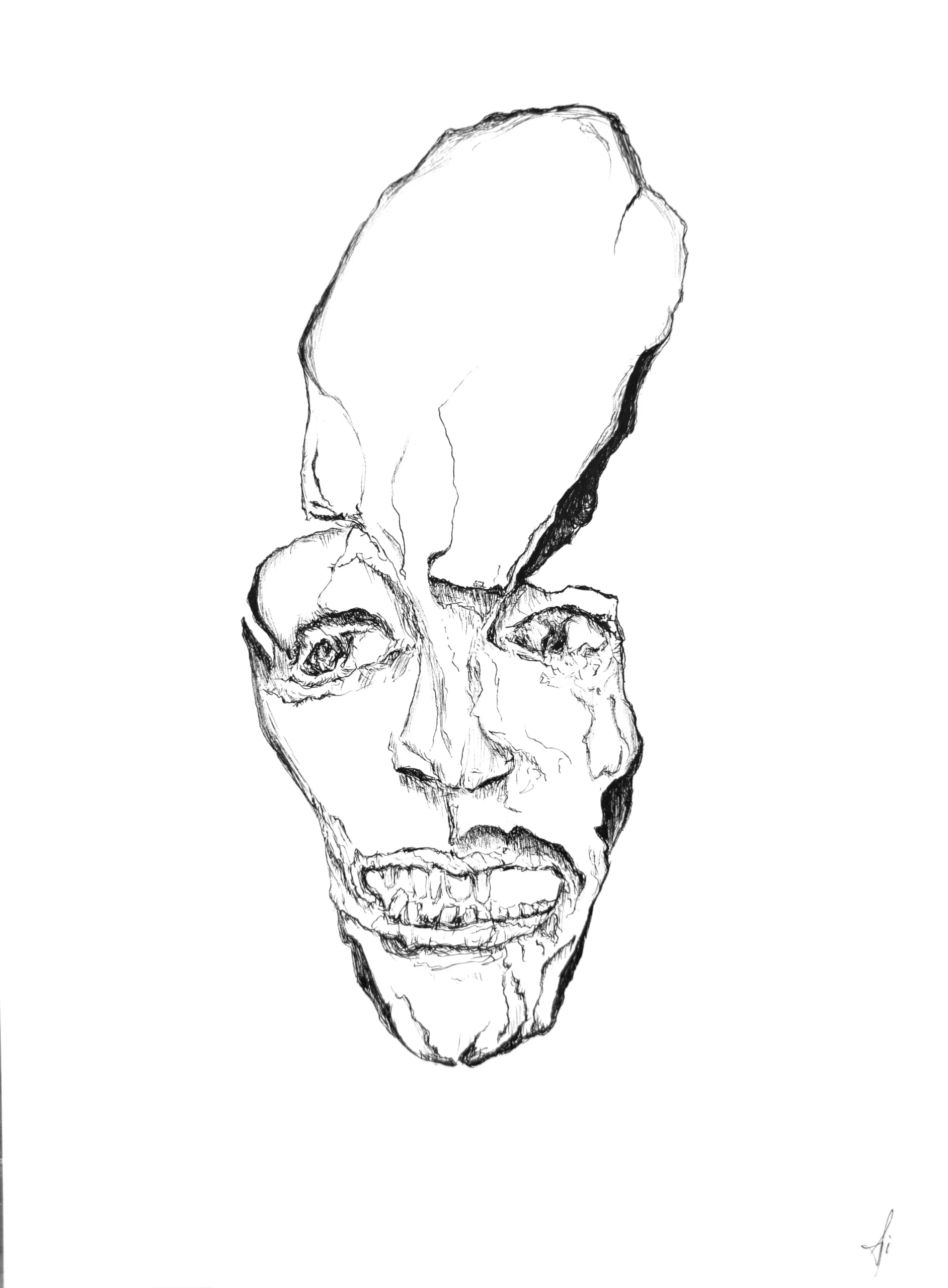 Untitled Skull 06, by Augustus Rivers