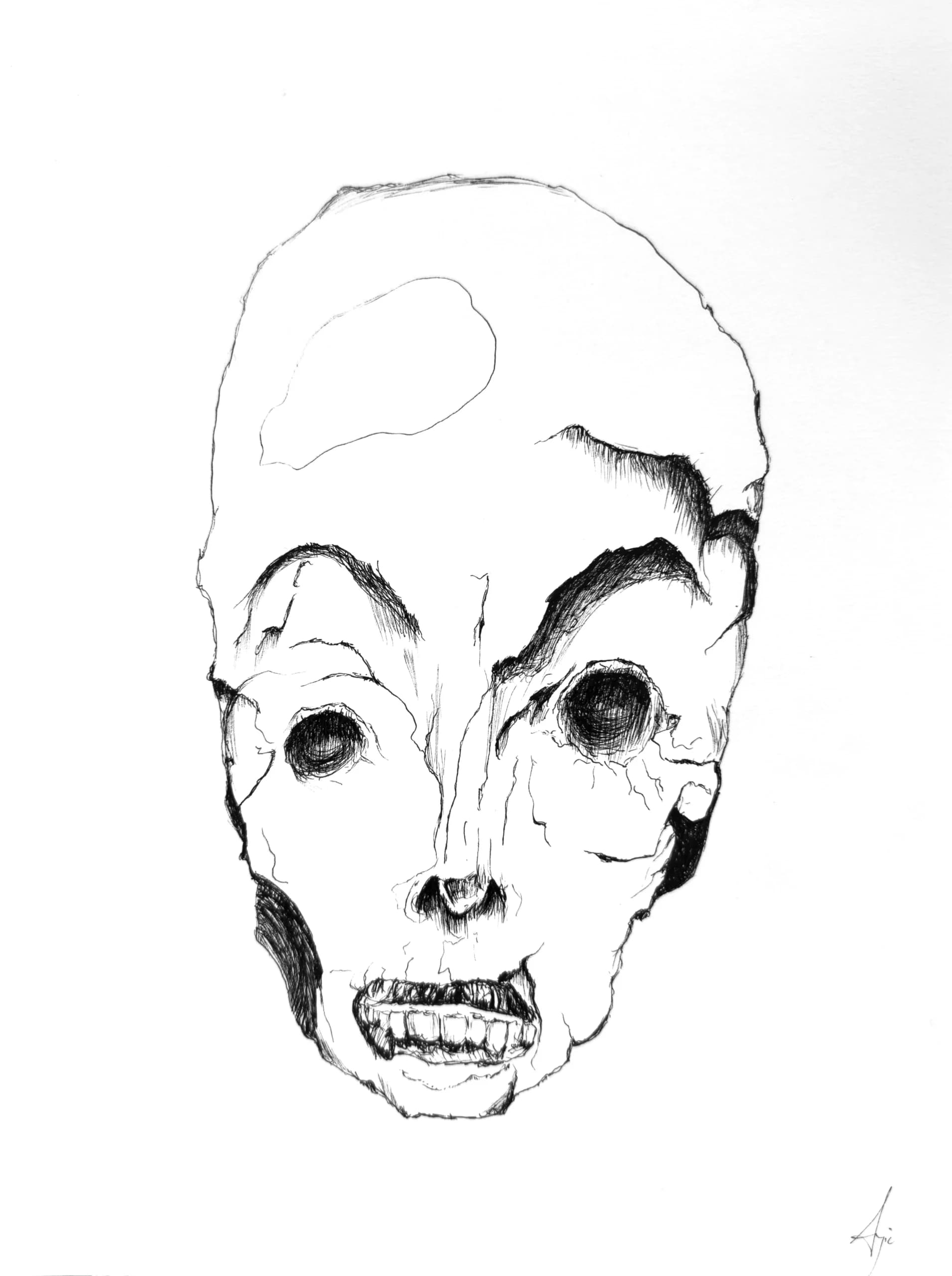 Untitled Skull 07, by Augustus Rivers